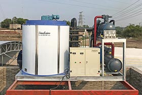 湛江食品加工日產20噸片冰機