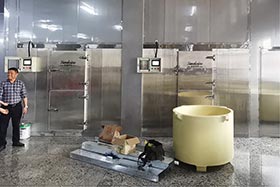 2臺日產10噸片冰機，湛江食品加工